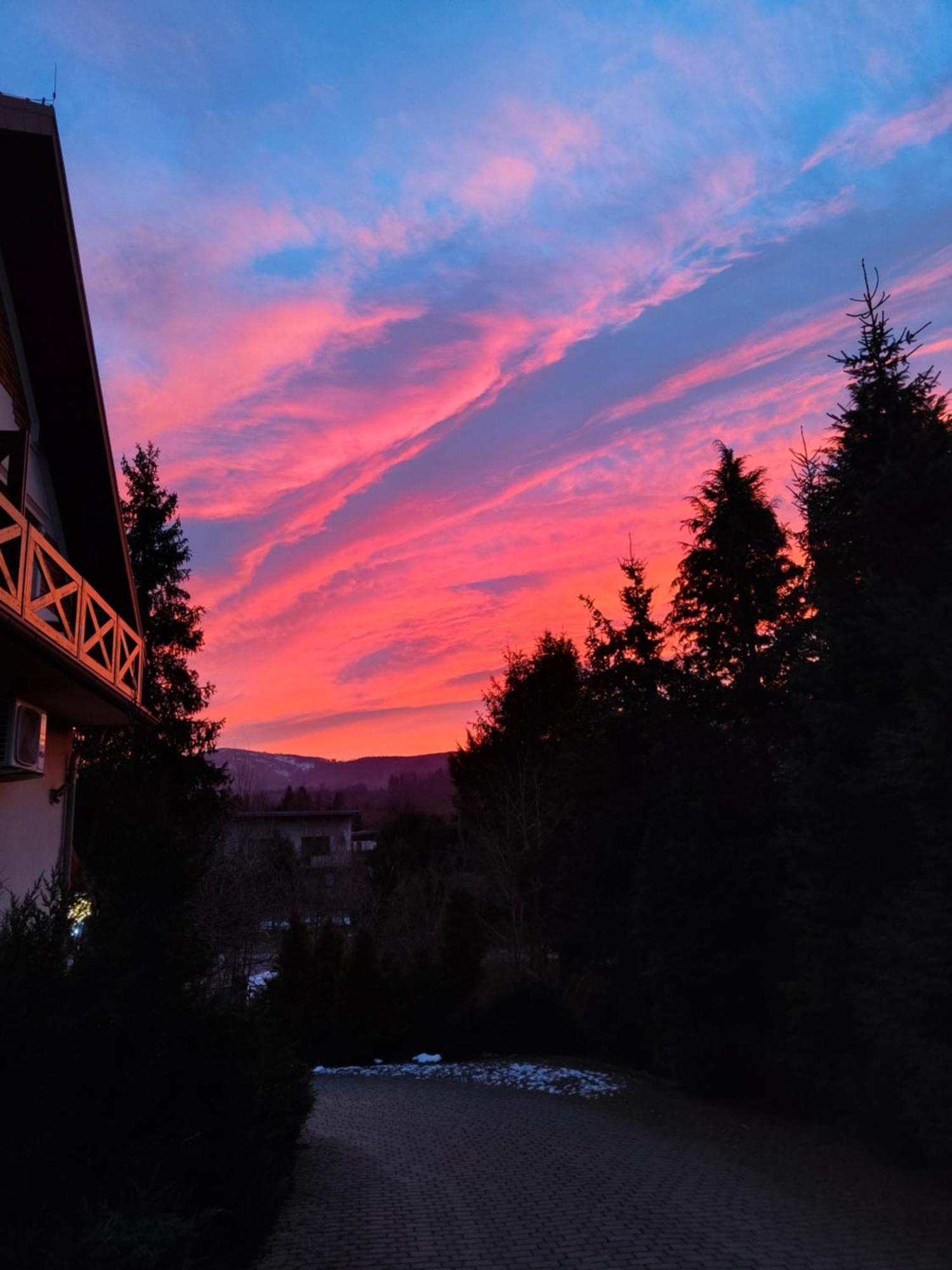 Beskid Ski Villa Wisla Exterior photo